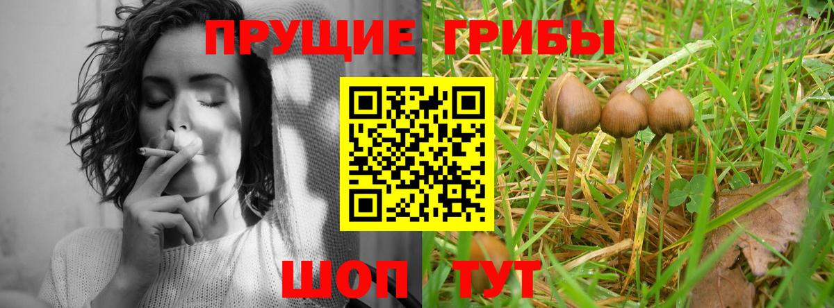 Псилоцибиновые грибы GOLDEN TEACHER Сердобск